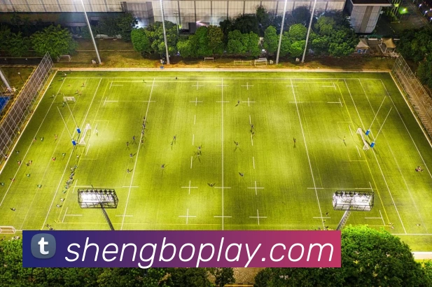 多媒体互动体验